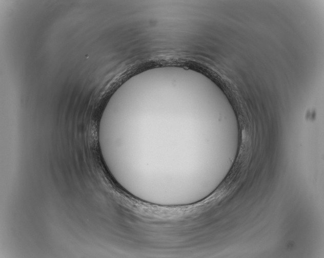 X0000089890048200707262239