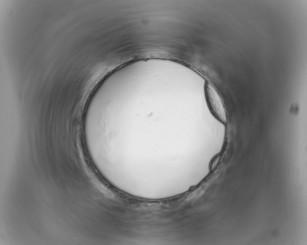 X0000089890049200707262238