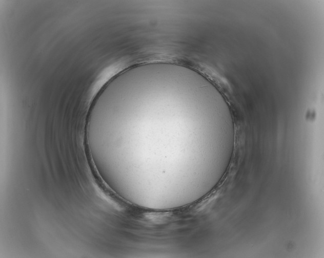 X0000089890051200707262238