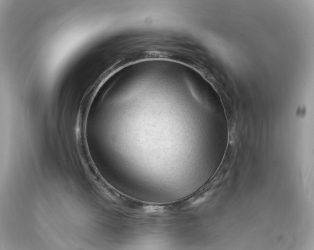 X0000089890052200707262238