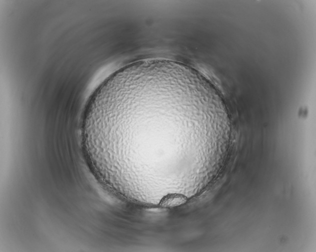 X0000089890053200707262238