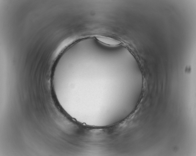 X0000089890054200707262238