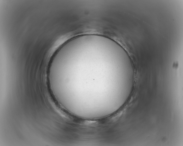 X0000089890055200707262238