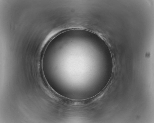 X0000089890056200707262238