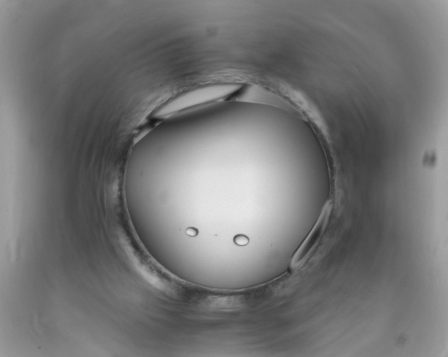 X0000089890057200707262238