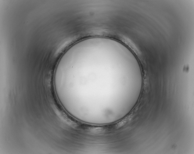 X0000089890058200707262238