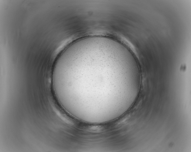 X0000089890059200707262238