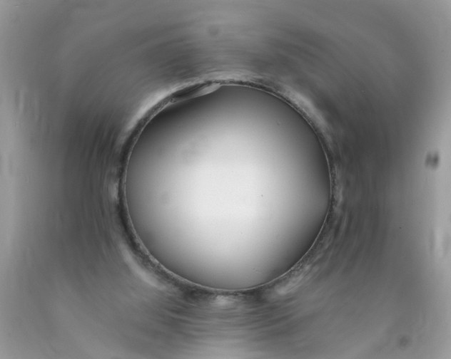 X0000089890060200707262238