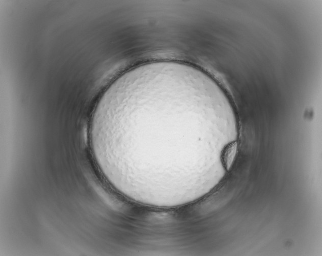 X0000089890061200707262238