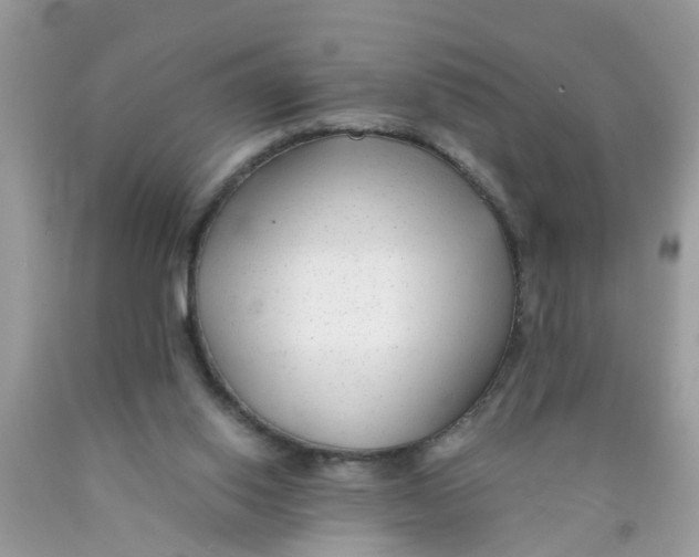 X0000089890062200707262238