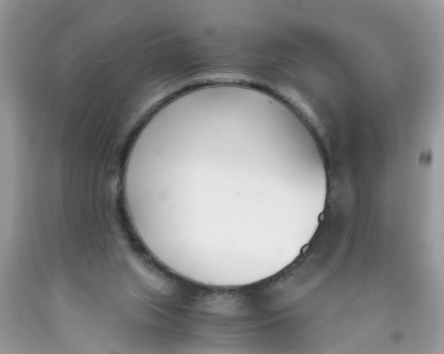 X0000089890063200707262238