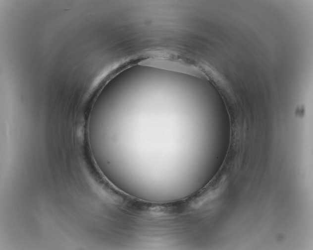 X0000089890064200707262238