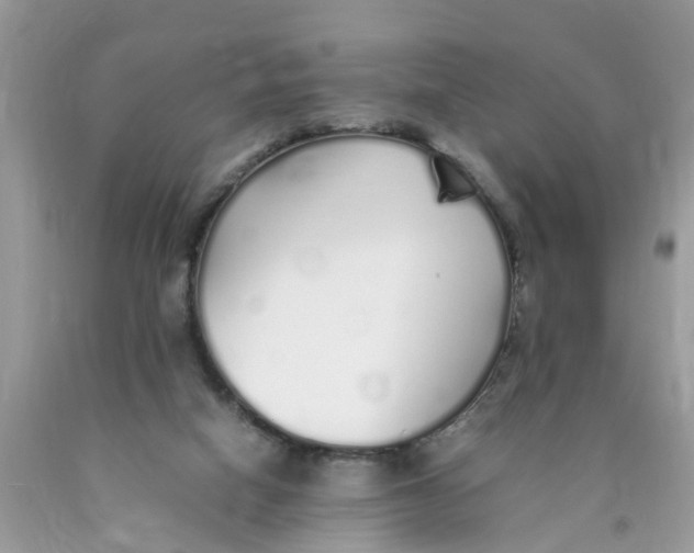 X0000089890066200707262238