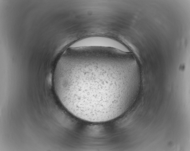 X0000089890067200707262238