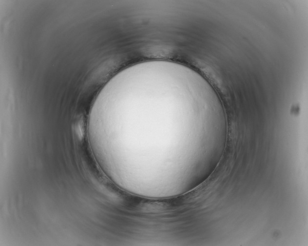 X0000089890069200707262238