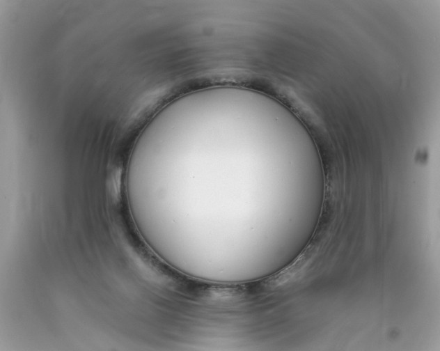 X0000089890070200707262238