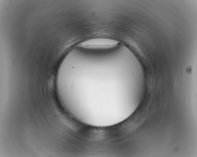 X0000089890071200707262238