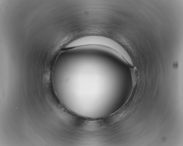 X0000089890072200707262238