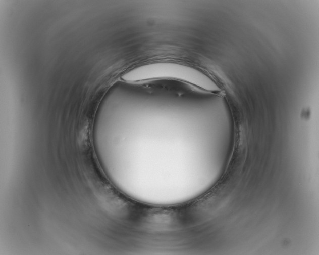 X0000089890073200707262238