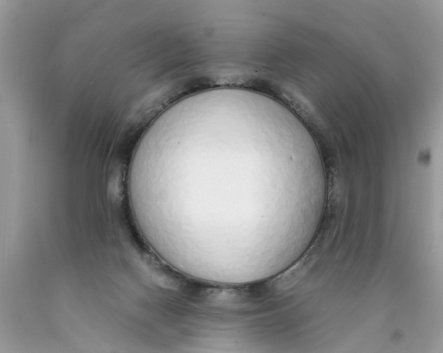 X0000089890074200707262238
