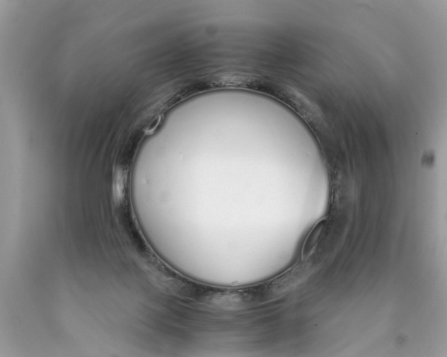 X0000089890075200707262238