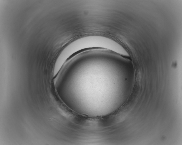 X0000089890076200707262238