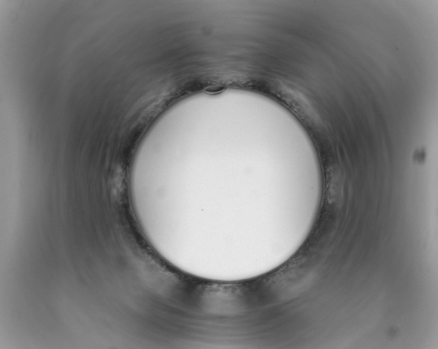 X0000089890077200707262239