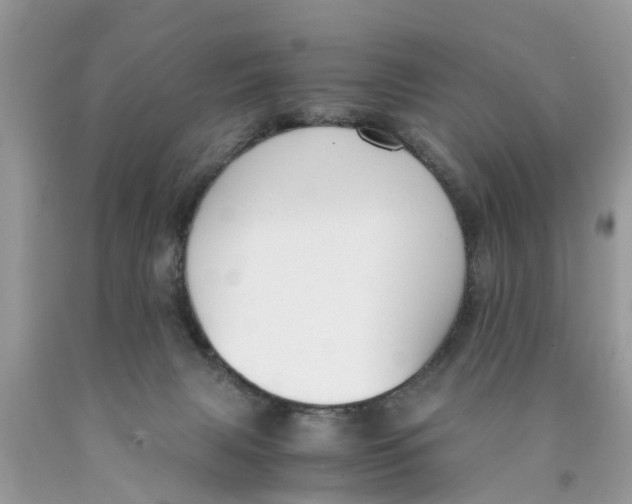 X0000089890079200707262239