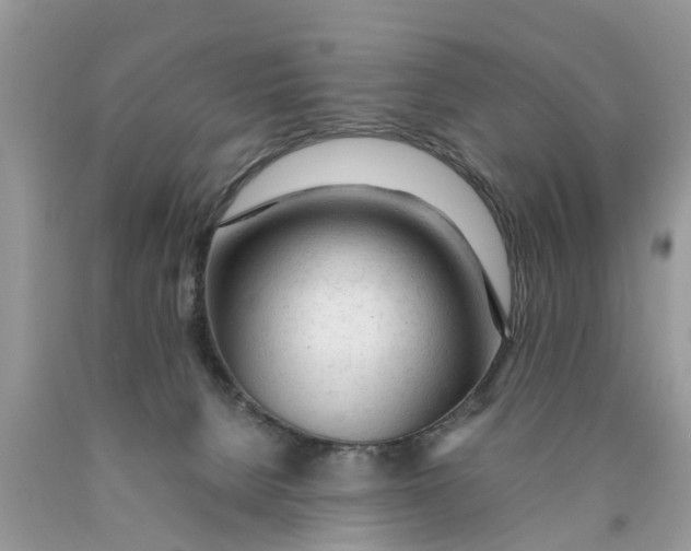 X0000089890080200707262239