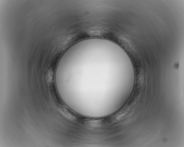 X0000089890081200707262239