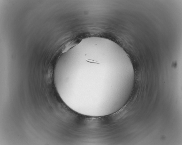X0000089890082200707262239
