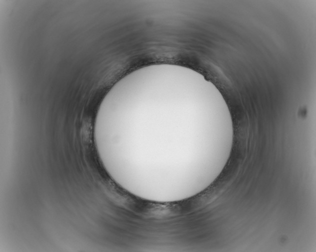 X0000089890083200707262239