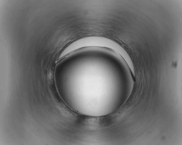 X0000089890084200707262239
