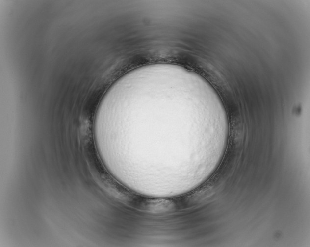 X0000089890087200707262239