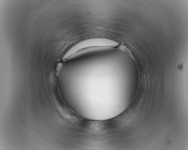X0000089890088200707262239