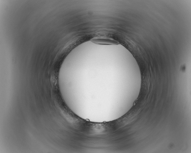 X0000089890091200707262239
