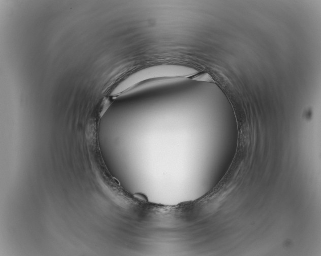 X0000089890092200707262239