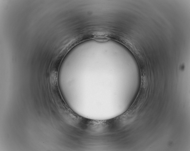 X0000089890093200707262239
