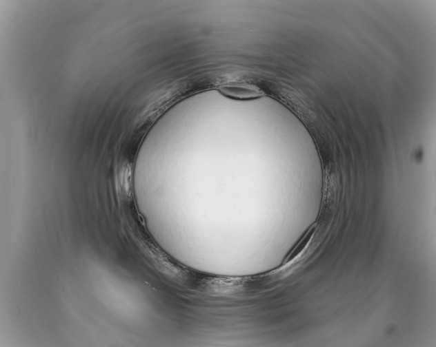 X0000089890094200707262239