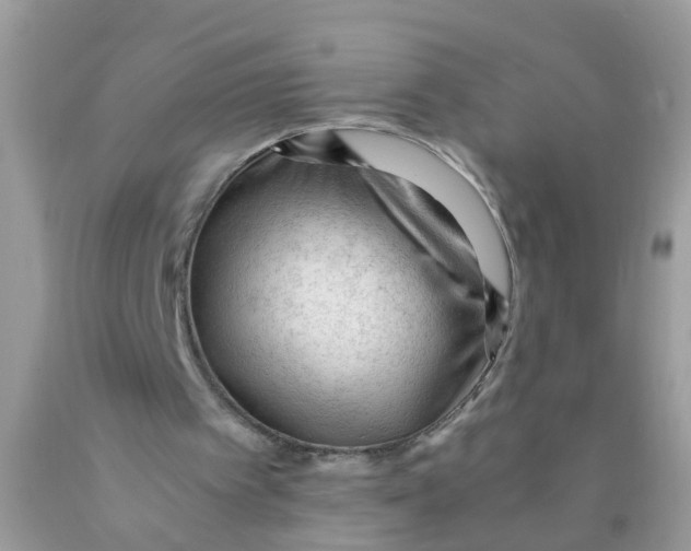 X0000089890097200707262238