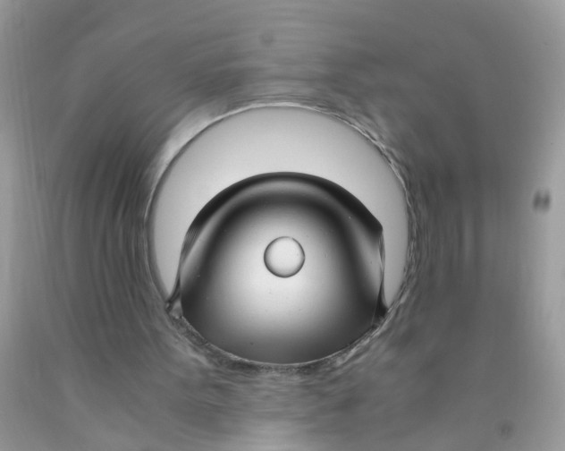 X0000089890099200707262238