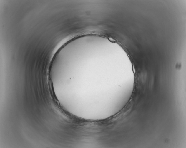 X0000089890100200707262238