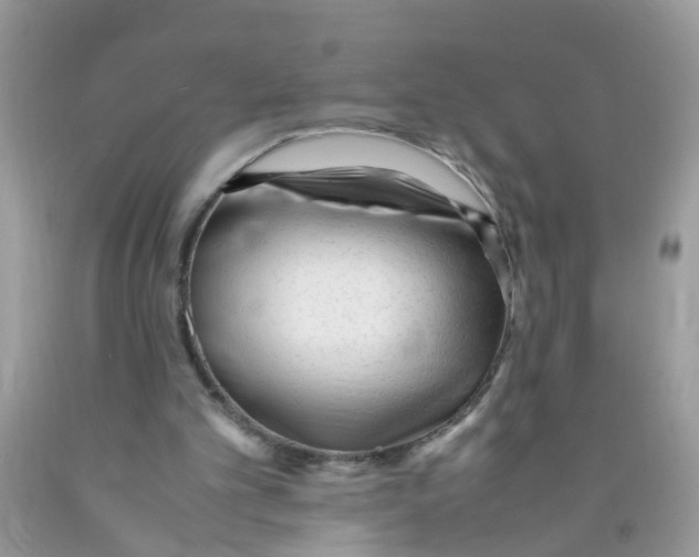 X0000089890101200707262238