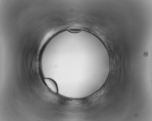 X0000089890102200707262238