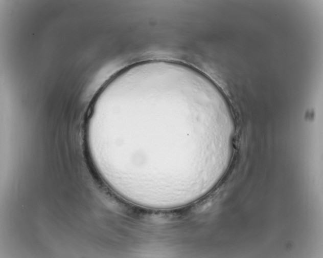 X0000089890103200707262238