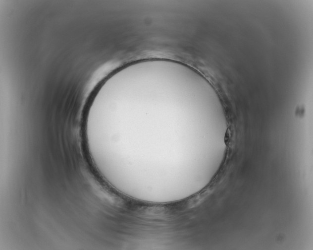 X0000089890104200707262238