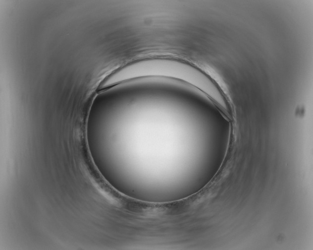 X0000089890105200707262238