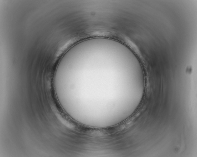 X0000089890106200707262238