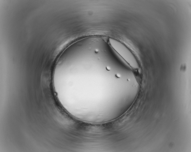 X0000089890107200707262238