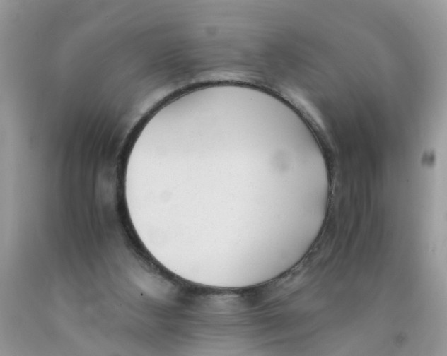 X0000089890108200707262238